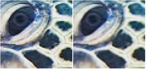 upsampled.jpg